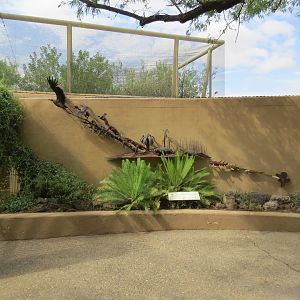 Arizona-Sonora Desert Museum Bird Evolution Sculpture 09/06/2025