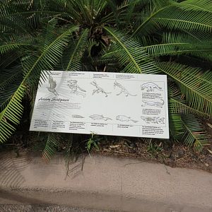 Arizona-Sonora Desert Museum Bird Evolution Sculpture Signage 09/06/2025