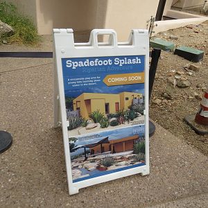 Arizona-Sonora Desert Museum Spadefoot Splash Coming Soon 09/06/2025