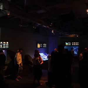 'Rocky Reef' smaller exhibits