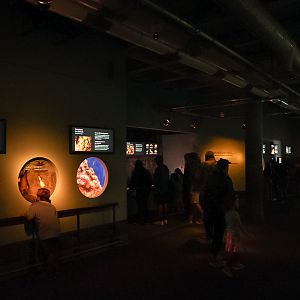 'Rocky Reef' smaller exhibits