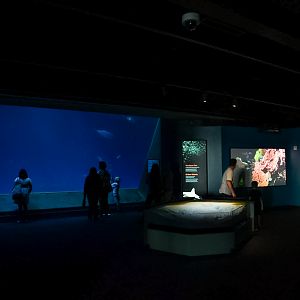 'Into the Deep' gallery entrance