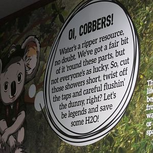 Signage - Cairns Koalas and Creatures