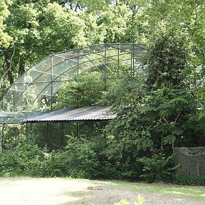 Backside of Cinereous vulture and Black swan aviary, 2025-05-17