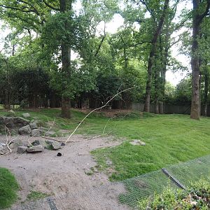 Swamp wallaby exhibit, 2025-05-17