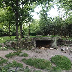 Swamp wallaby exhibit, 2025-05-17