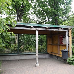 Peruvian squirrel monkey and South American coati island viewing area, 2025-05-17