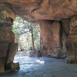 Jaguar Exhibit Temple