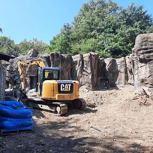 Snow Leopard Exhibit Construction