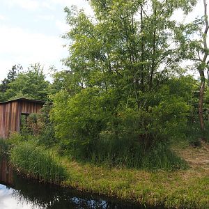 Black lemur and Ring-tailed lemur island, 2025-05-17