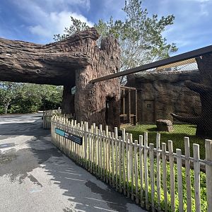 Sep. 2025 - Ambassador Animal Yard (Empty)