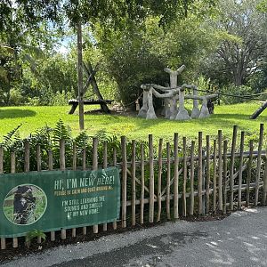 Sep. 2025 - Andean Bear Enclosure (ex-gorilla)