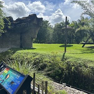 Sep. 2025 - Andean Bear Enclosure (ex-gorilla)