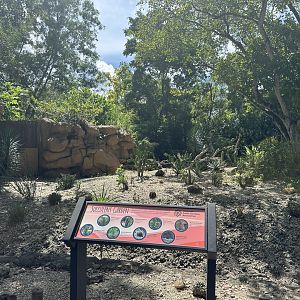 Sep. 2025 - Succulent Garden