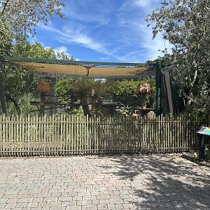 Sep. 2025 - Mongoose Lemur Enclosure (ex-serval)