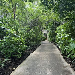 Sep. 2025 - Amazon & Beyond - Route to the Atlantic Forest