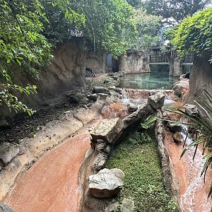 Sep. 2025 - Amazon & Beyond - Giant Otter Enclosure (Part 1)