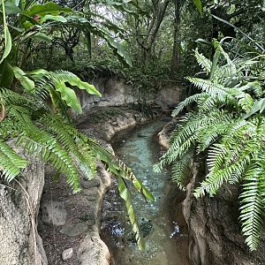 Sep. 2025 - Amazon & Beyond - Giant Otter Enclosure (Part 2)