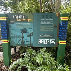 Sep. 2025 - Amazon & Beyond - New Graphics