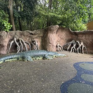 Sep. 2025 - Amazon & Beyond - Fake Crocodile