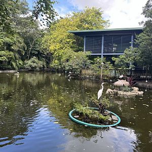 Sep. 2025 - Amazon & Beyond - Pond Overview