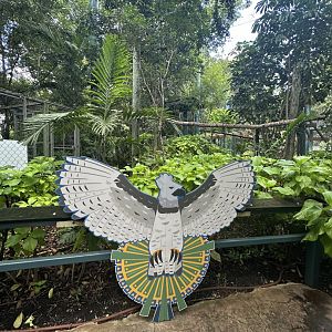 Sep. 2025 - Amazon & Beyond - Harpy Eagle Wingspan