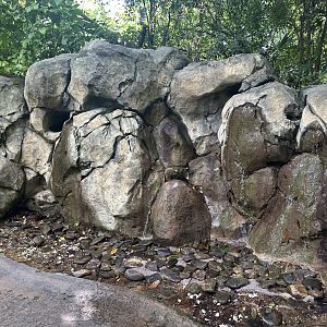 Sep 2025 - Amazon & Beyond - Water Feature