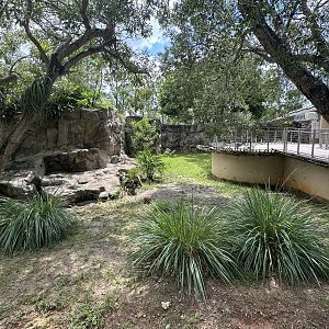 Sep. 2025 - Australia - Cassowary Enclosure