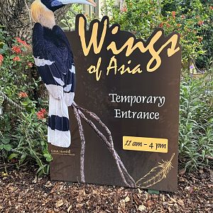 Sep. 2025 - Wings of Asia - (Temporary) Entry Signage