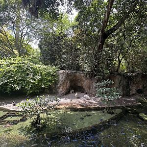 Sep. 2025 - Wings of Asia - Panorama 01