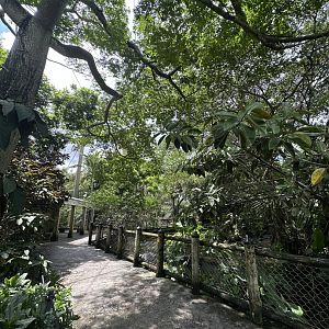 Sep. 2025 - Wings of Asia - Panorama 02