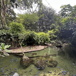 Sep. 2025 - Wings of Asia - Panorama 04