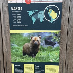 Example of Animal Enclosure Sign - Bush Dog