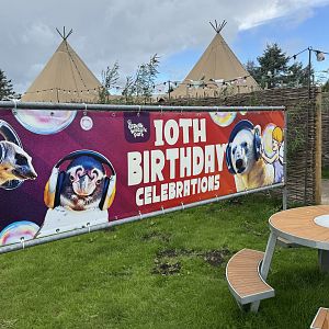 10th Birthday Banner