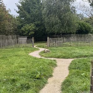 Sheep, Goat & Chicken Enclosure Mix