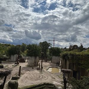 African elephant enclosure