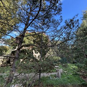 Snow leopard exhibit