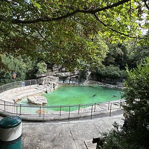 Californian sea lion basin