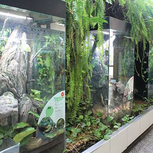 Envirodome terrariums