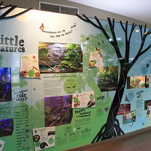 Envirodome terrariums