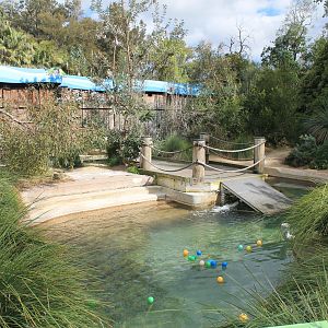 Little Blue Penguin enclosure