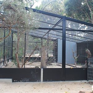 walk-in aviary under construction
