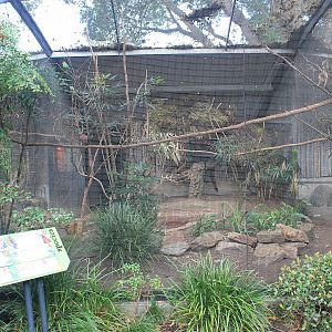 aviary