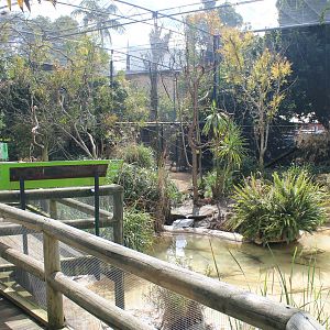 Australian Wetland walk-through aviary
