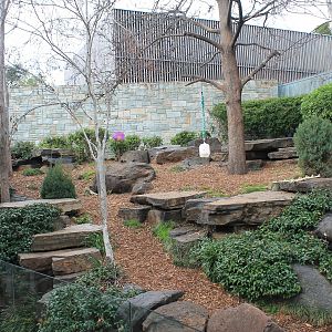 Giant Panda enclosure
