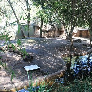 Pigmy Hippo enclosure