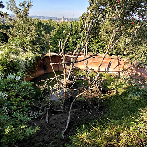 Northern porcupine exhibit