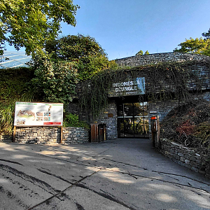 Indonesian Jungle house