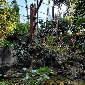 Otter + binturong exhibit