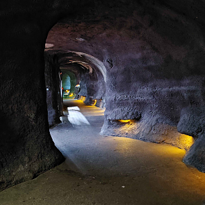 Nocturnal section - lights on